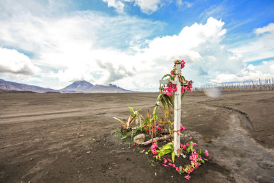 Flowers on cross against cloudy sky