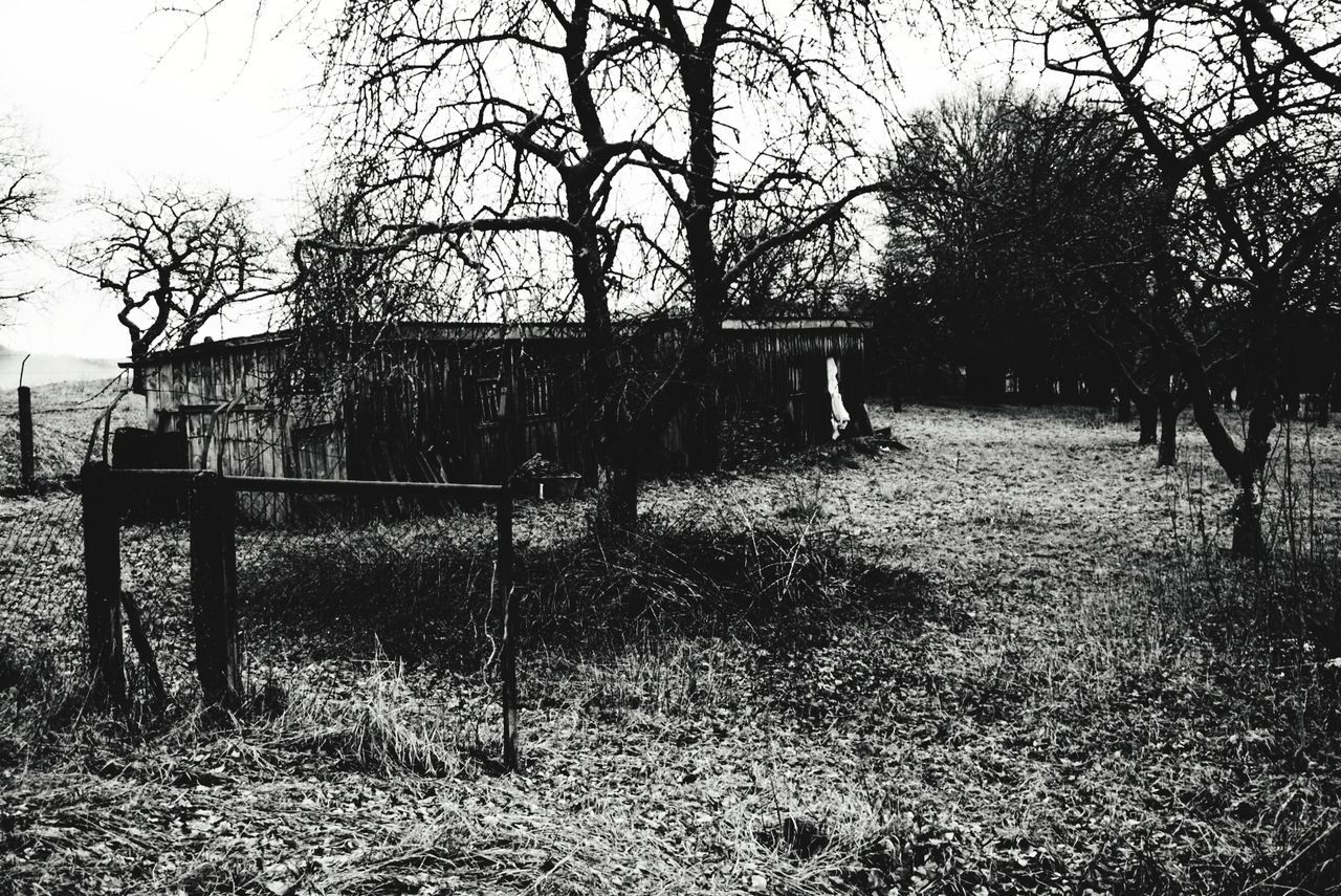 tree, plant, black and white, nature, monochrome photography, sky, no people, day, monochrome, fence, field, rural area, architecture, bare tree, land, outdoors, grass, built structure, tranquility, house, growth, protection, park, landscape, security