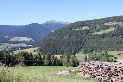 Scenic view of field against clear sky