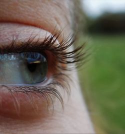 Close-up of human eye