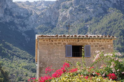 Scenic view of house and trees