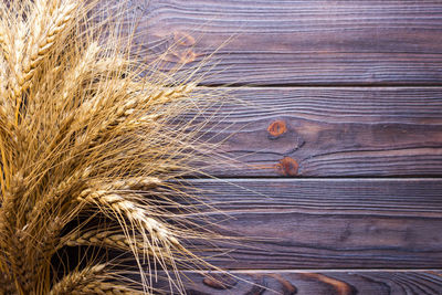 Wheat grains on wooden plank background harvest concept