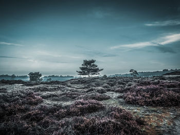 Scenic view of land against sky