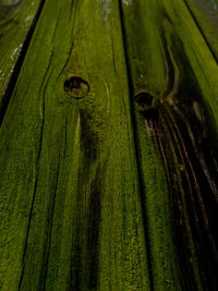 Full frame shot of tree