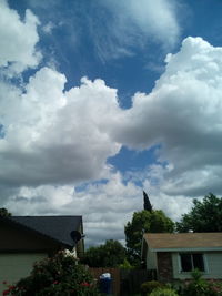 Trees against cloudy sky