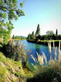 Scenic view of lake against clear blue sky