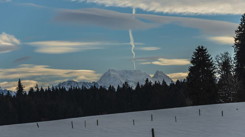 Panoramic view of pine trees on snowcapped mountains against sky