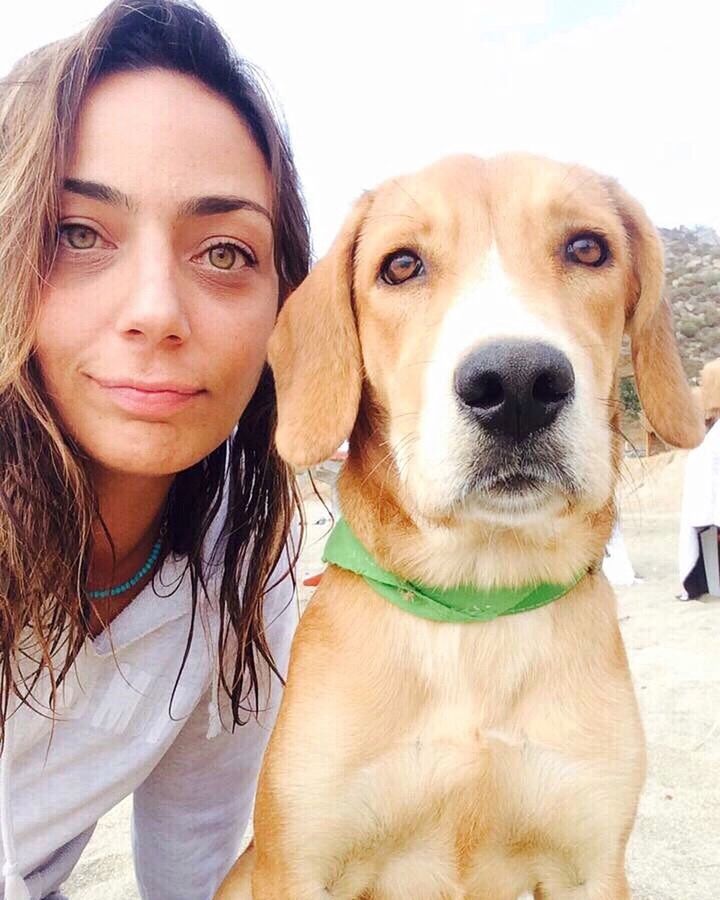 CLOSE-UP PORTRAIT OF DOG WITH MAN