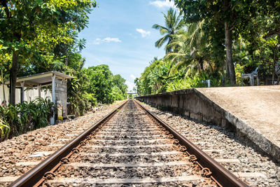 Railroad track by platform amidst trees