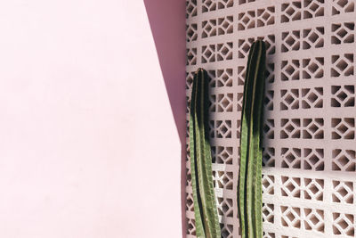 Close-up of multi colored wall in house