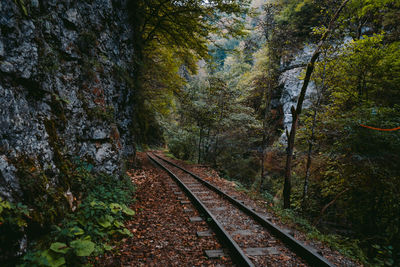 Railroad track amidst trees against sky