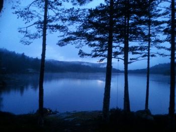 Reflection of trees in lake