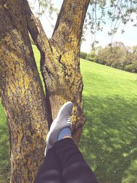 Low section of person on tree trunk