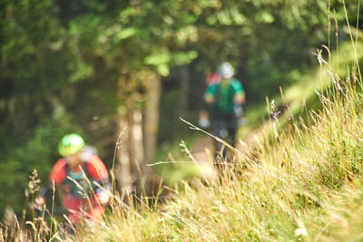 People working on field
