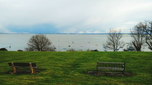 Empty bench on grassy field