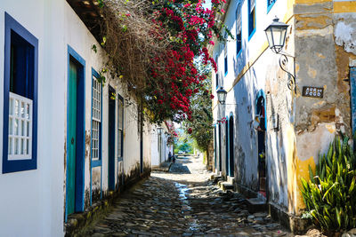 Narrow alley amidst buildings in city