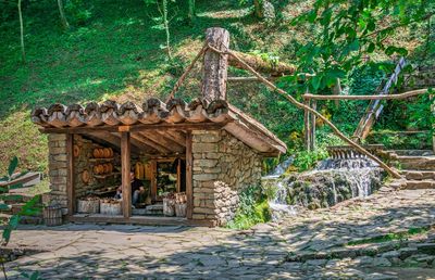 Entrance of gate in forest