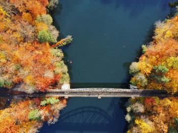 High angle view of trees by lake during autumn