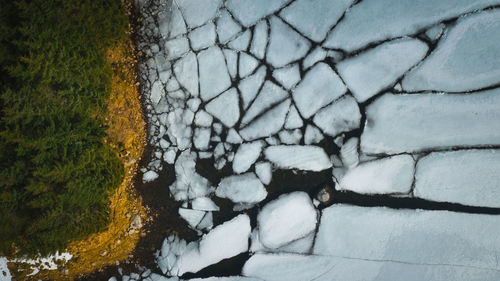 High angle view of snow on plants