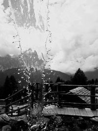 Wet trees against sky during winter