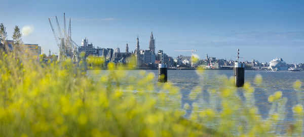 Scenic view of river by buildings against sky