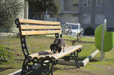 seat