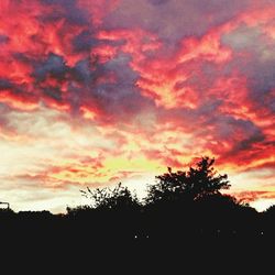 Silhouette of trees against dramatic sky