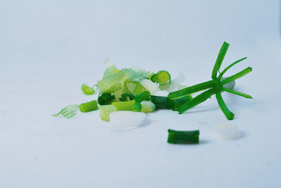 Close-up of vegetables on table against white background