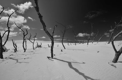 Scenic view of snow covered land against sky