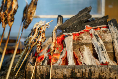 Close-up of wooden post