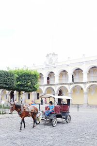 Horse cart in city against clear sky