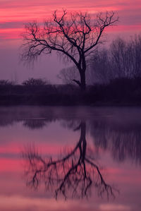 Silhouette bare tree by lake against romantic sky at sunset