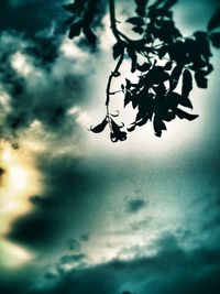 Low angle view of cloudy sky