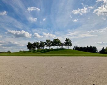 Trees on field against sky