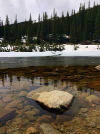 Scenic view of lake during winter