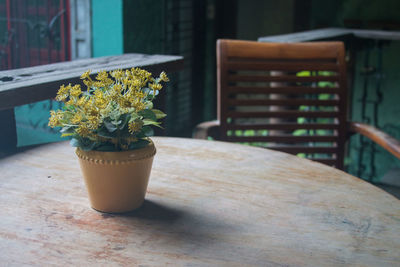 Close-up of potted plant