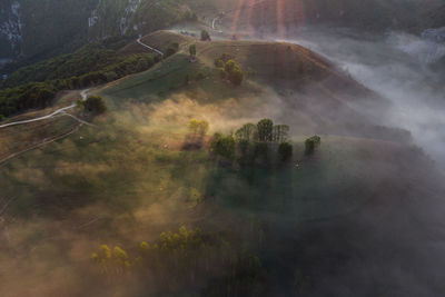 High angle view of trees on landscape