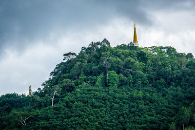 Trees and building against sky