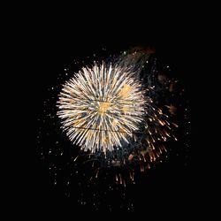 Low angle view of firework display at night