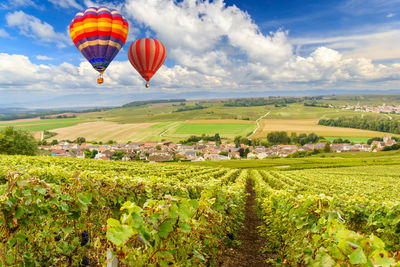 Hot air balloons flying over field against sky