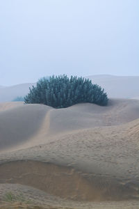 Scenic view of desert against clear sky