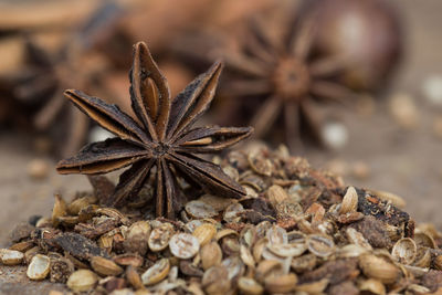 High angle view of dry leaf on table