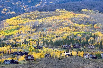 Scenic view of rural landscape