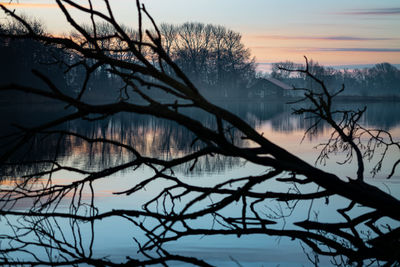 Bare tree by lake against sky during sunset