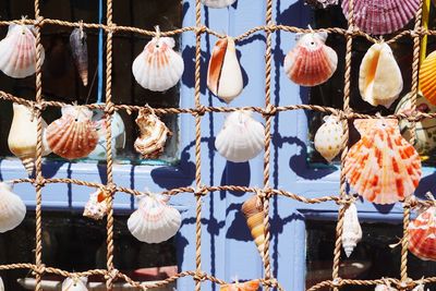 Full frame shot of seashells hanging on ropes