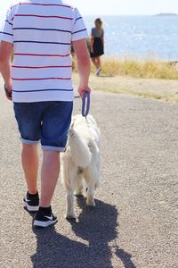 Rear view of people walking with dog on street