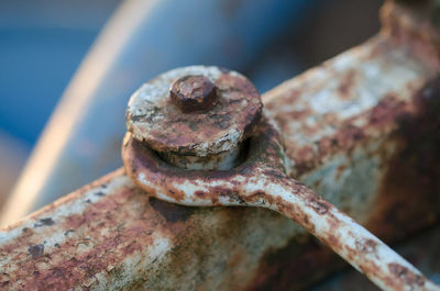 Close-up of rusty metal