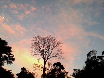 Low angle view of silhouette trees against sky at sunset