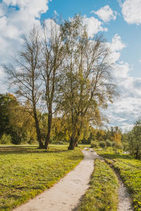 Road amidst trees on field against sky