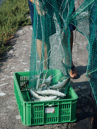 High angle view of woman holding fishing net in crate 
